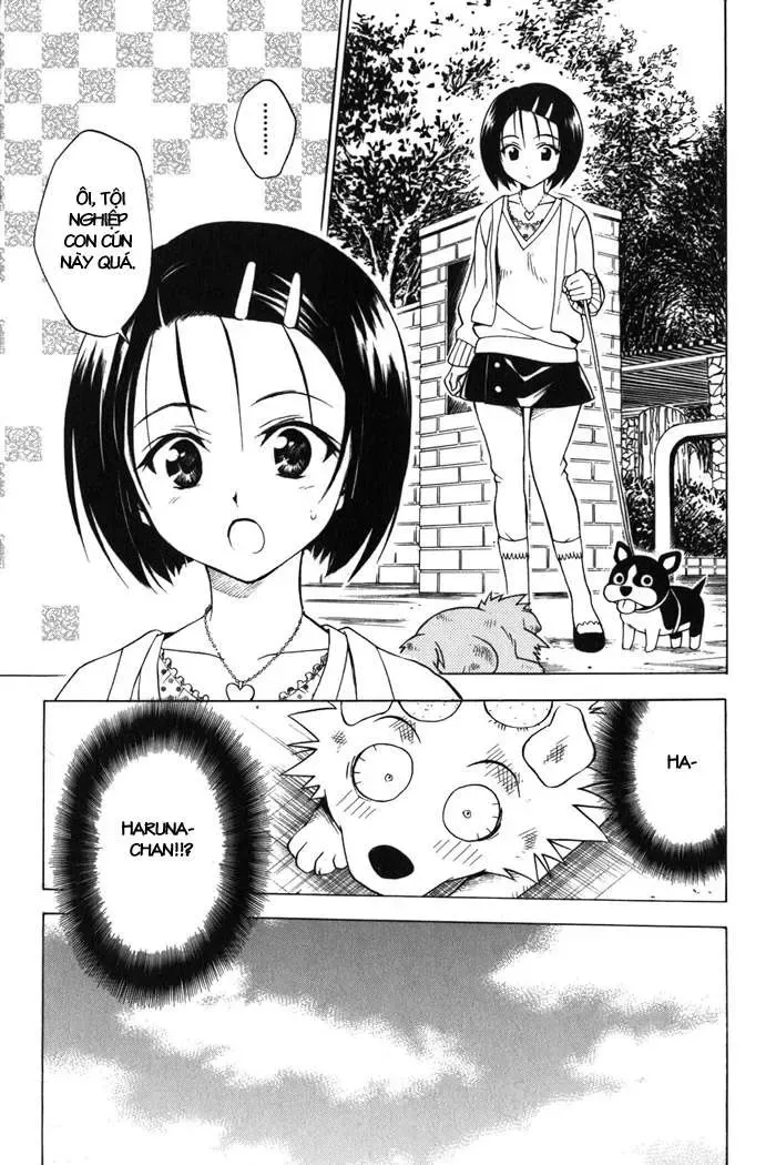 To Love Ru Chapter 43 - Trang 19