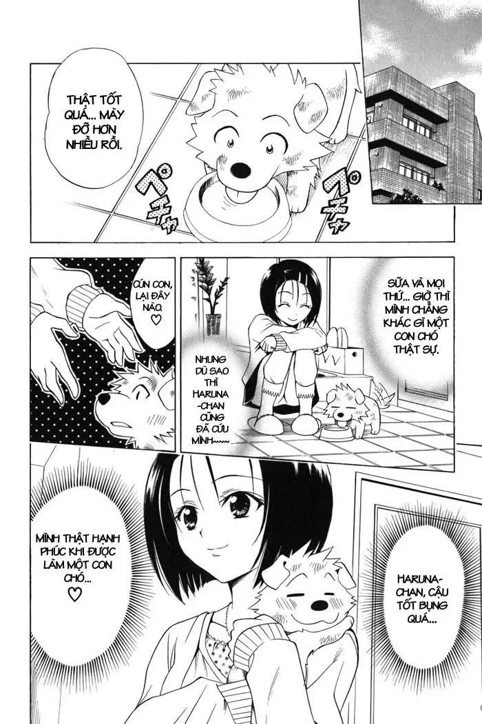 To Love Ru Chapter 43 - Trang 20