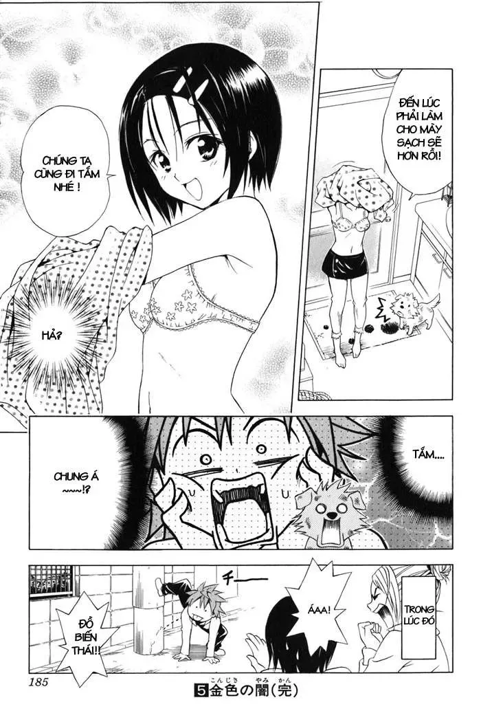 To Love Ru Chapter 43 - Trang 21