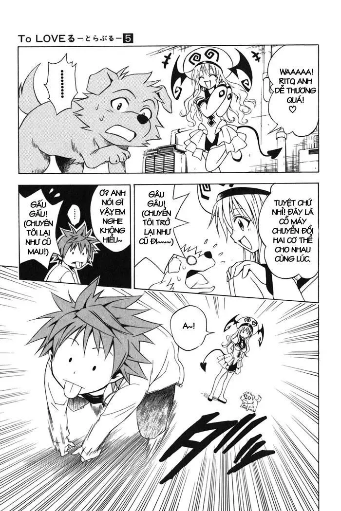 To Love Ru Chapter 43 - Trang 7