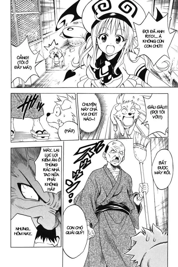 To Love Ru Chapter 43 - Trang 8