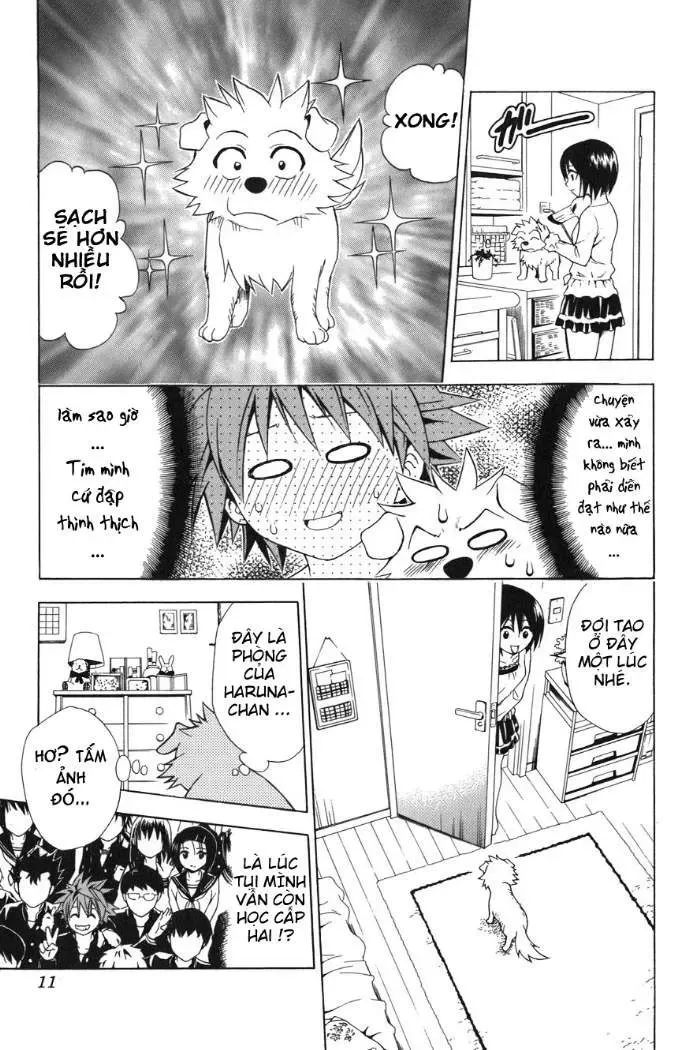 To Love Ru Chapter 44 - Trang 13