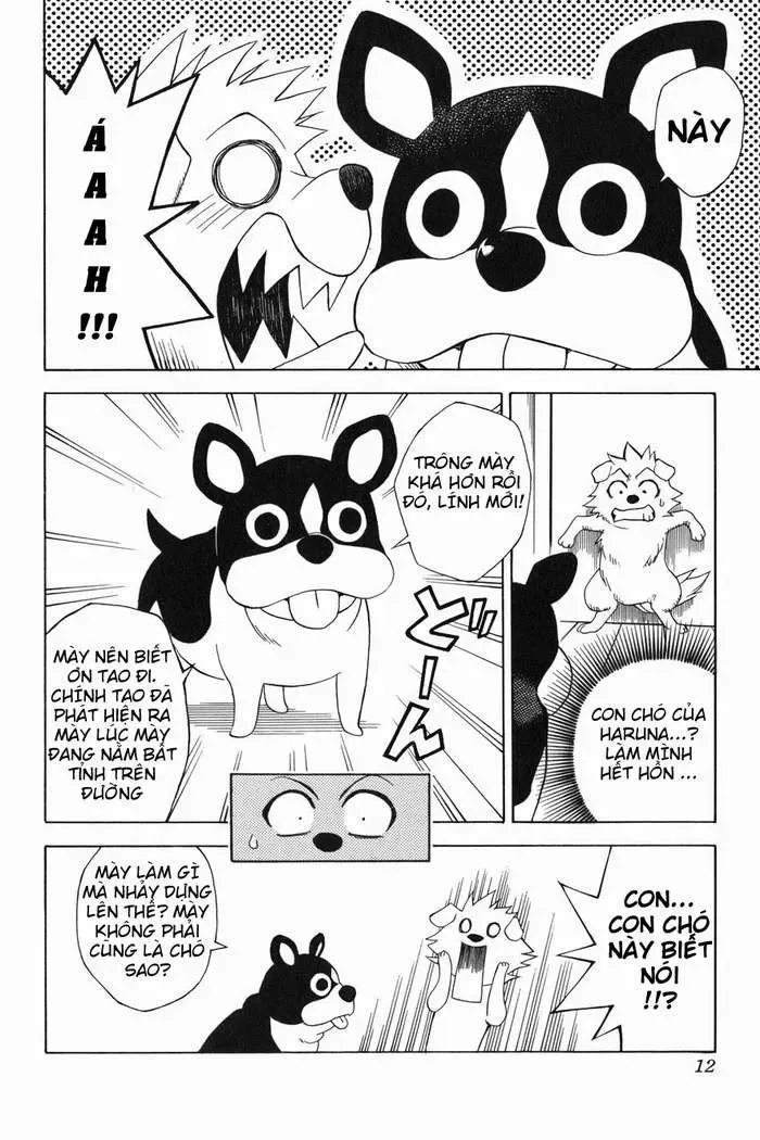 To Love Ru Chapter 44 - Trang 14