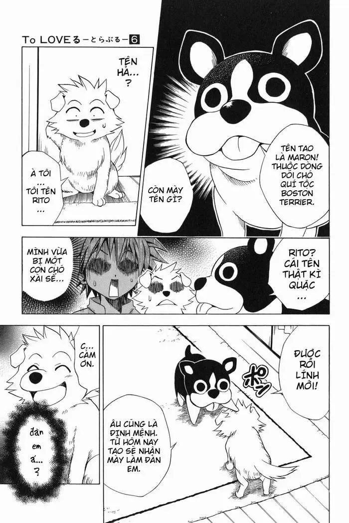 To Love Ru Chapter 44 - Trang 15