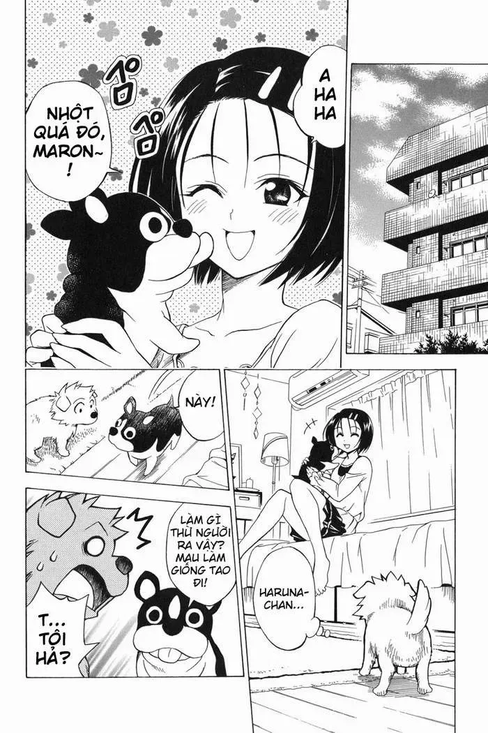 To Love Ru Chapter 44 - Trang 16