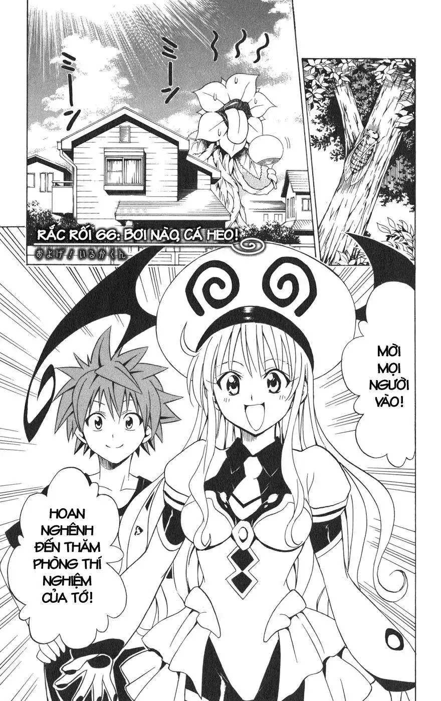To Love Ru Chapter 66 - Trang 3
