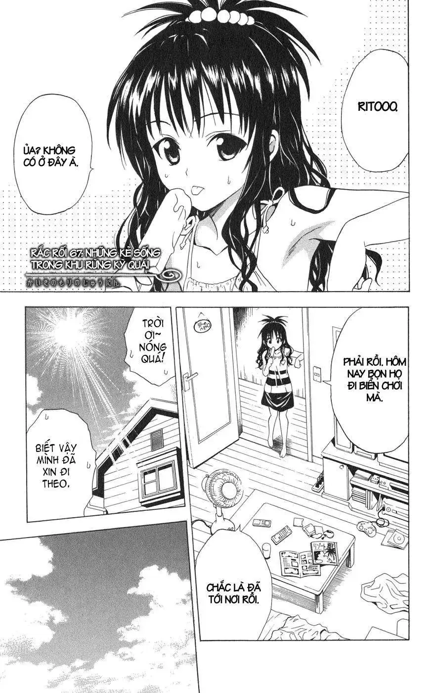 To Love Ru Chapter 67 - Trang 3