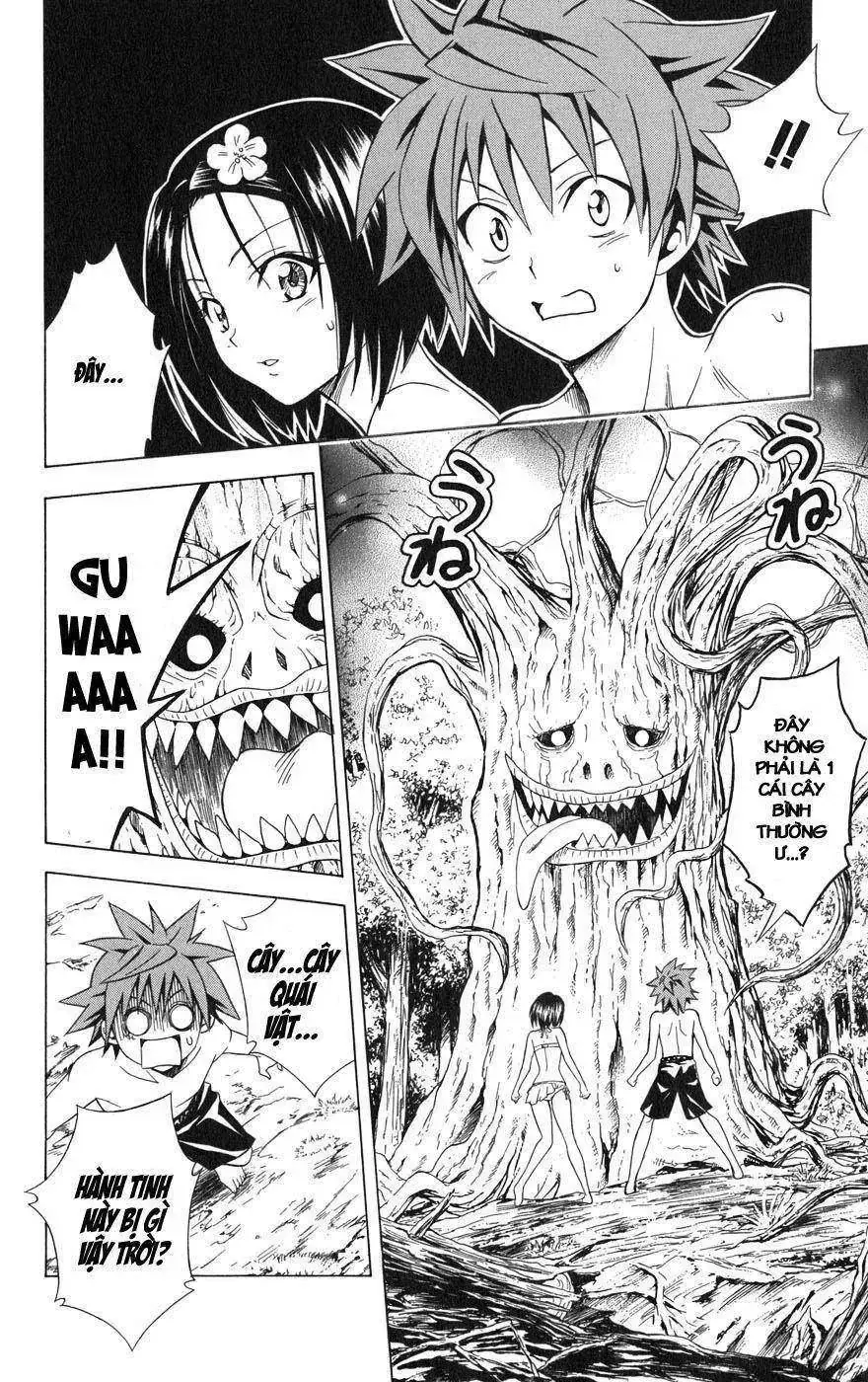 To Love Ru Chapter 69 - Trang 14