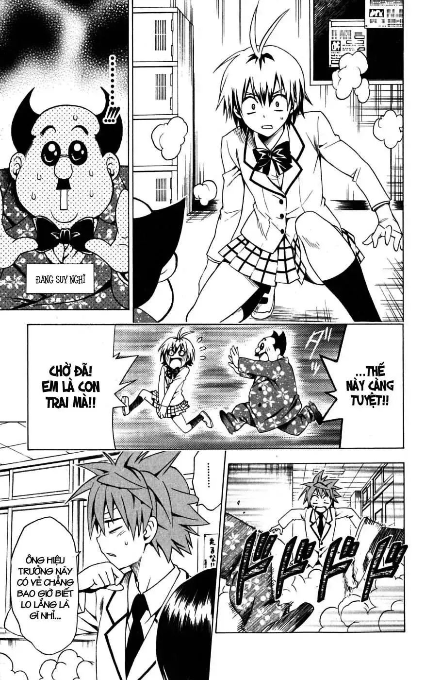 To Love Ru Chapter 99 - Trang 11