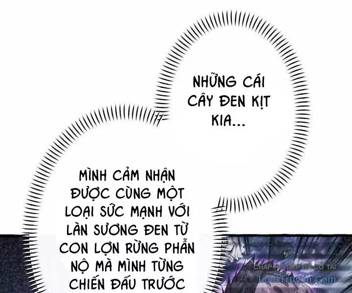 Tổ Sư Hồi Quy: Tái Sinh Thành Hậu Duệ Sau Nghìn Năm Chapter 37 - Trang 46