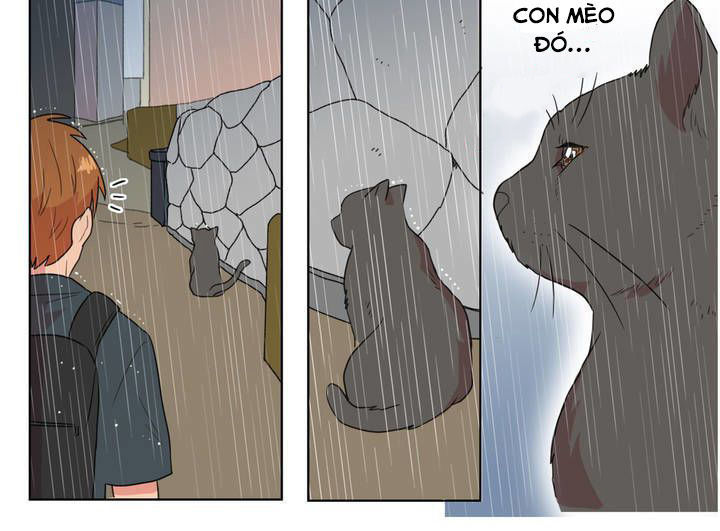 Tỏ Tình Nhầm Lẫn Chapter 5 - Trang 19