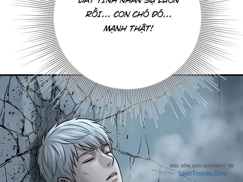 Toàn Cầu Băng Phong : Thu Nhận Hầu Gái, Bắt Đầu Từ Cô Vợ Kiêu Ngạo Nhà Bên Chapter 59 - Trang 26