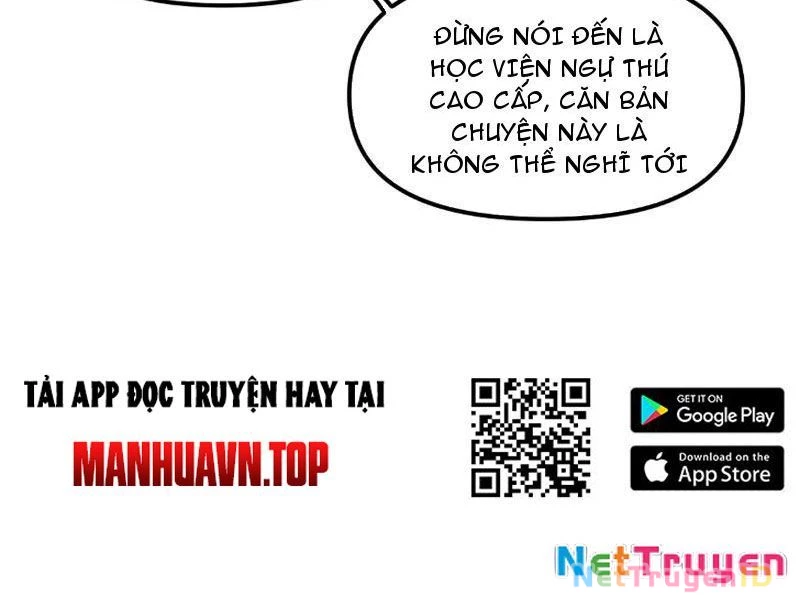 Toàn Cầu Ngự Thú: Ta có thế thấy lộ tuyến tiến hóa Chapter 1 - Trang 11