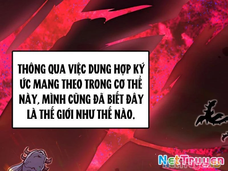 Toàn Cầu Ngự Thú: Ta có thế thấy lộ tuyến tiến hóa Chapter 1 - Trang 21