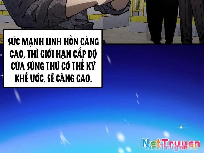 Toàn Cầu Ngự Thú: Ta có thế thấy lộ tuyến tiến hóa Chapter 1 - Trang 41