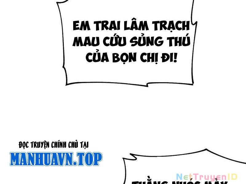 Toàn Cầu Ngự Thú: Ta có thế thấy lộ tuyến tiến hóa Chapter 10 - Trang 12