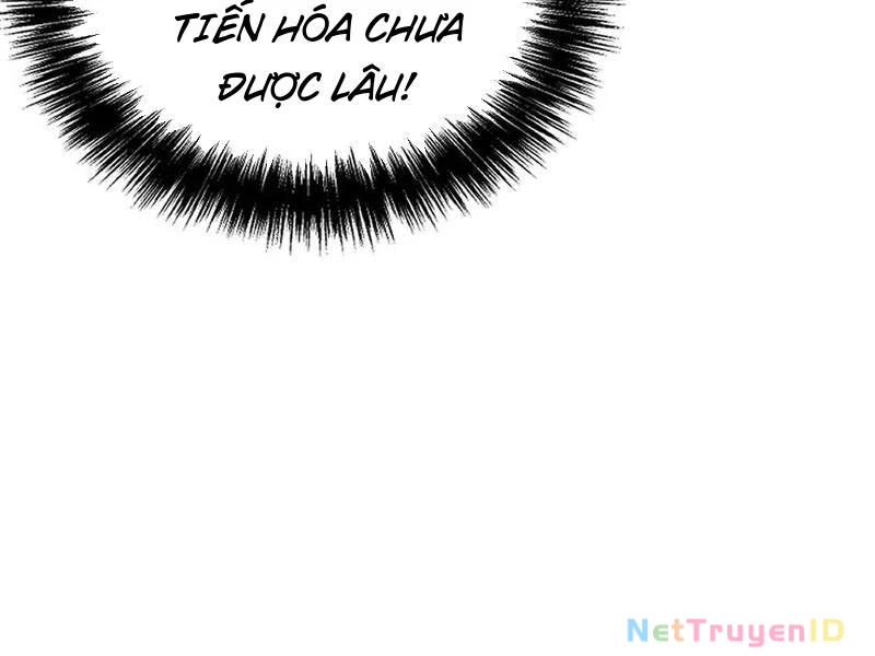 Toàn Cầu Ngự Thú: Ta có thế thấy lộ tuyến tiến hóa Chapter 11 - Trang 49