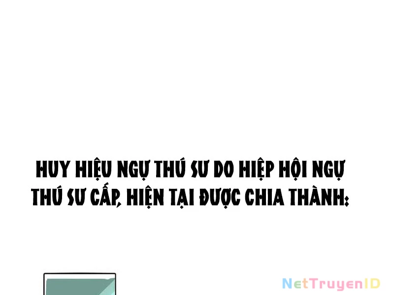 Toàn Cầu Ngự Thú: Ta có thế thấy lộ tuyến tiến hóa Chapter 11 - Trang 7