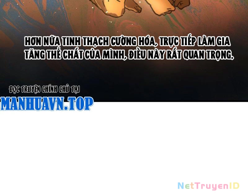 Toàn Cầu Ngự Thú: Ta có thế thấy lộ tuyến tiến hóa Chapter 2 - Trang 27