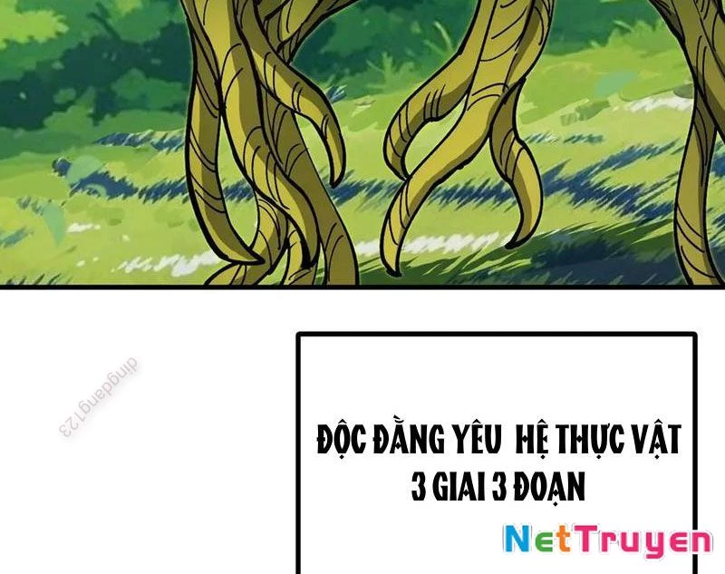 Toàn Cầu Ngự Thú: Ta có thế thấy lộ tuyến tiến hóa Chapter 21 - Trang 36