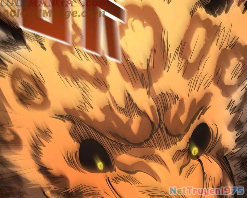 Toàn Cầu Ngự Thú: Ta có thế thấy lộ tuyến tiến hóa Chapter 21 - Trang 49