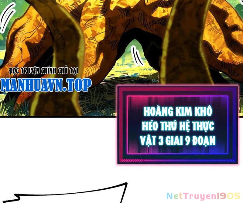 Toàn Cầu Ngự Thú: Ta có thế thấy lộ tuyến tiến hóa Chapter 22 - Trang 27