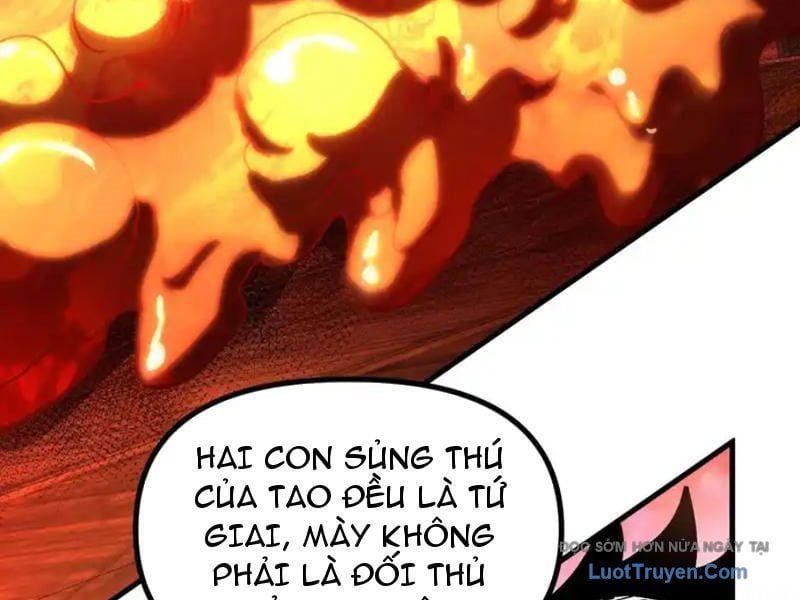 Toàn Cầu Ngự Thú: Ta có thế thấy lộ tuyến tiến hóa Chapter 45 - Trang 46