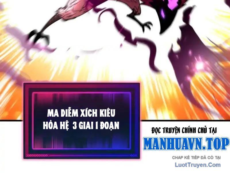 Toàn Cầu Ngự Thú: Ta có thế thấy lộ tuyến tiến hóa Chapter 48 - Trang 12