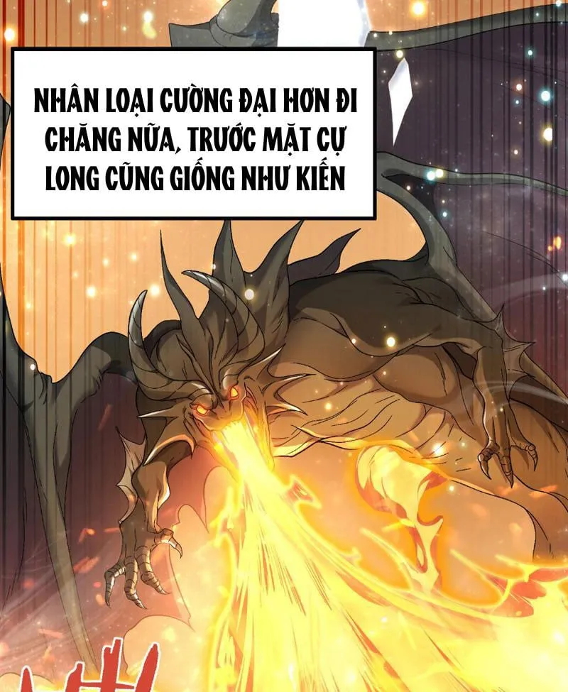 Toàn dân chuyển chức: Ngự Long sư là nghề nghiệp yếu nhất? Chapter 2 - Trang 25