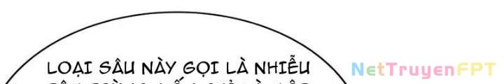 Toàn Dân Chuyển Chức: Tất Cả Kỹ Năng Của Ta đều Là Cấm Chú Chapter 52 - Trang 9