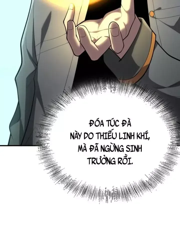 Toàn Trí Tu Tiên Giả Chapter 25 - Trang 23