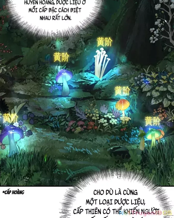 Toàn Trí Tu Tiên Giả Chapter 33 - Trang 29