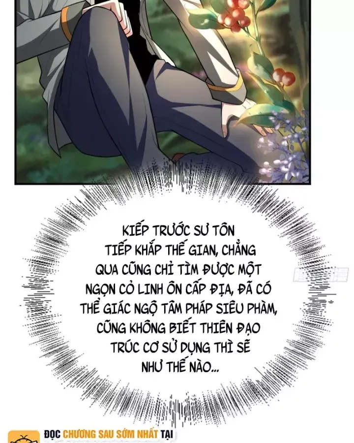 Toàn Trí Tu Tiên Giả Chapter 33 - Trang 36