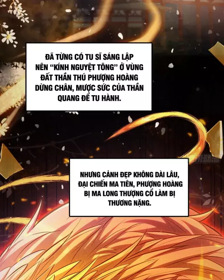Toàn Trí Tu Tiên Giả Chapter 48 - Trang 6