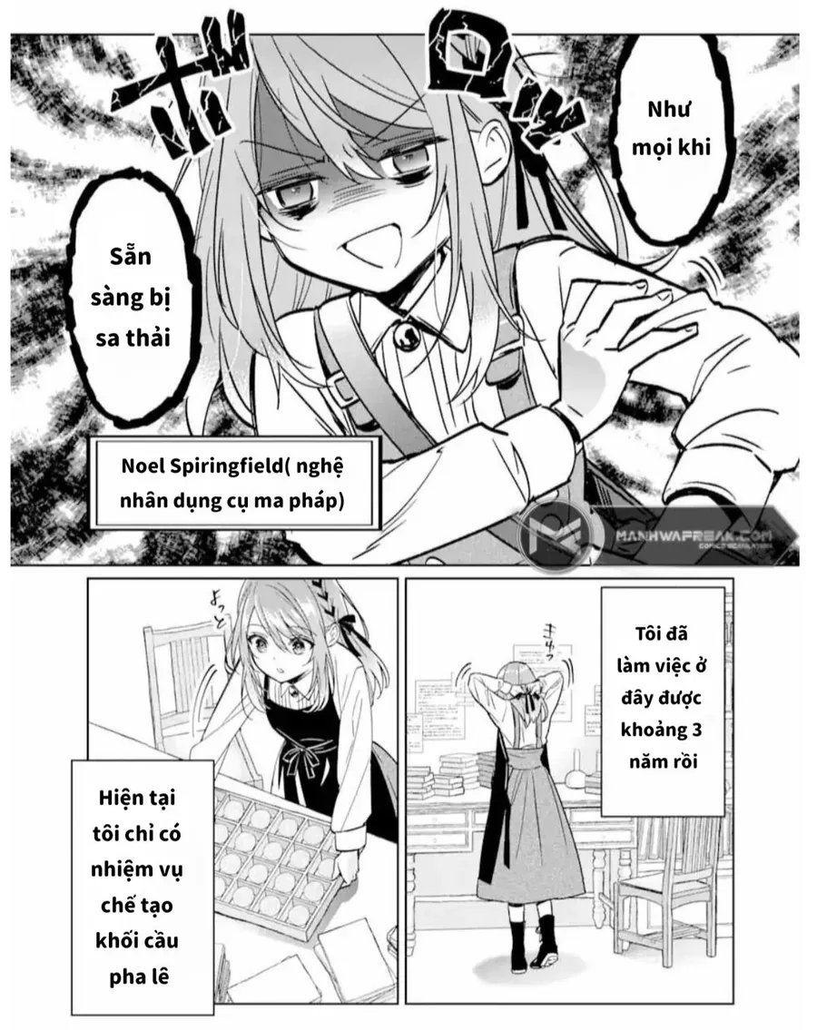 Tôi Bị Đuổi Khỏi Hội Pháp Sư Chapter 1 - Trang 12