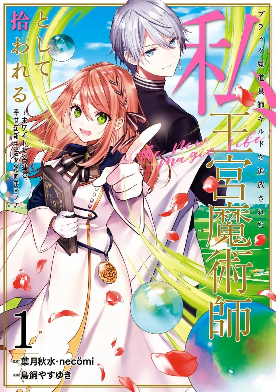 Tôi Bị Đuổi Khỏi Hội Pháp Sư Chapter 1 - Trang 5