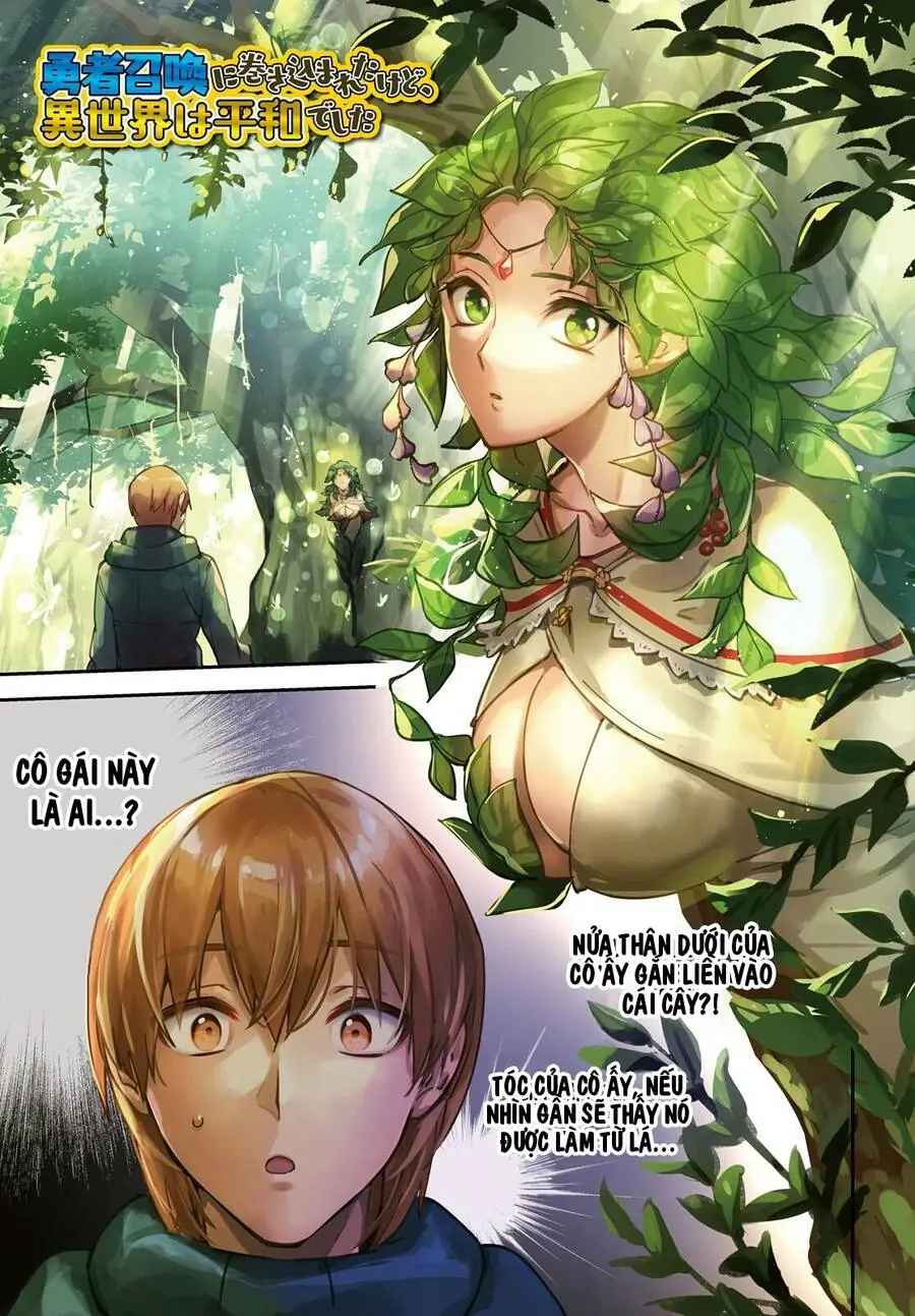 Tôi Bị Vướng Vào Cuộc Triệu Hồi Anh Hùng, Nhưng Dị Giới Vẫn Bình Yên Chapter 25 - Trang 2