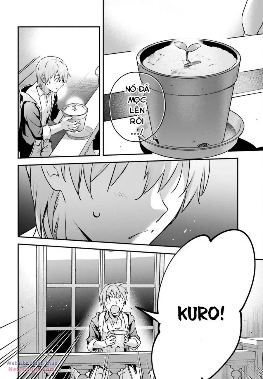 Tôi Bị Vướng Vào Cuộc Triệu Hồi Anh Hùng, Nhưng Dị Giới Vẫn Bình Yên Chapter 50 - Trang 21