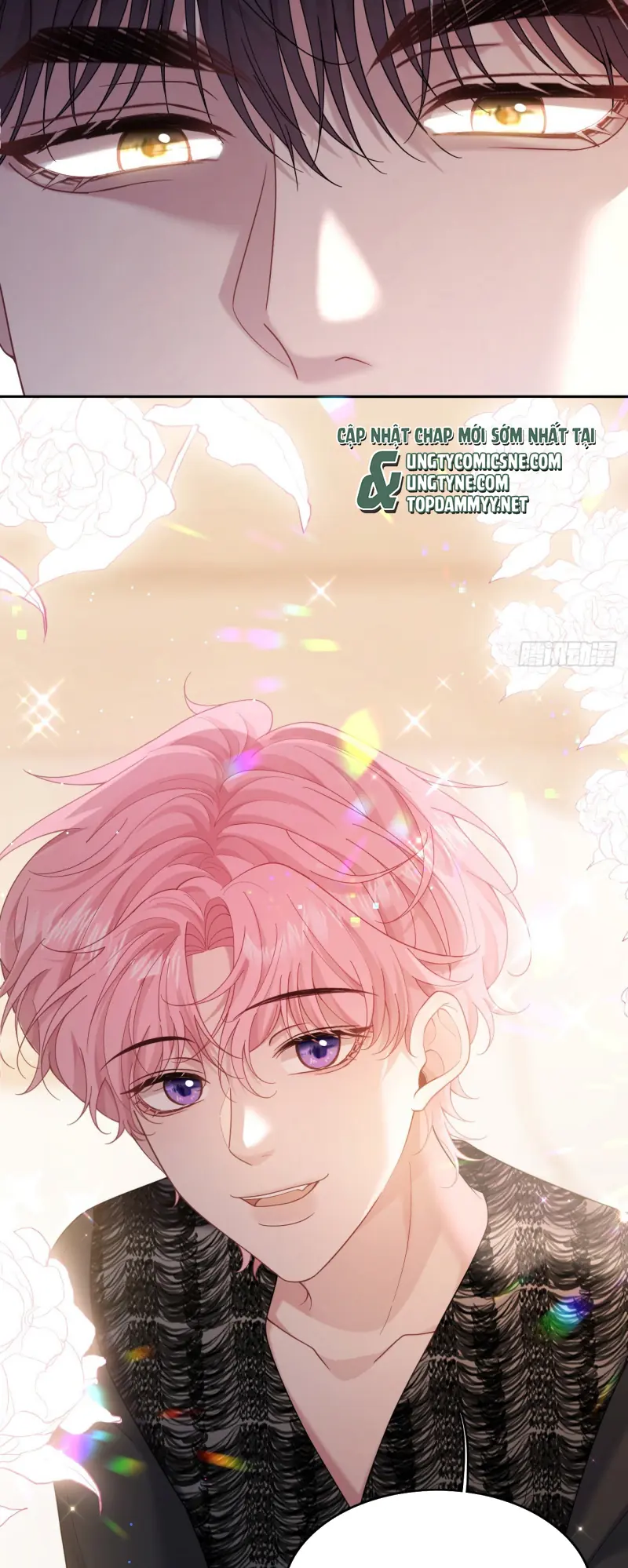TÔI CỐ Ý GIẢ VỜ Chapter 14 - Trang 24