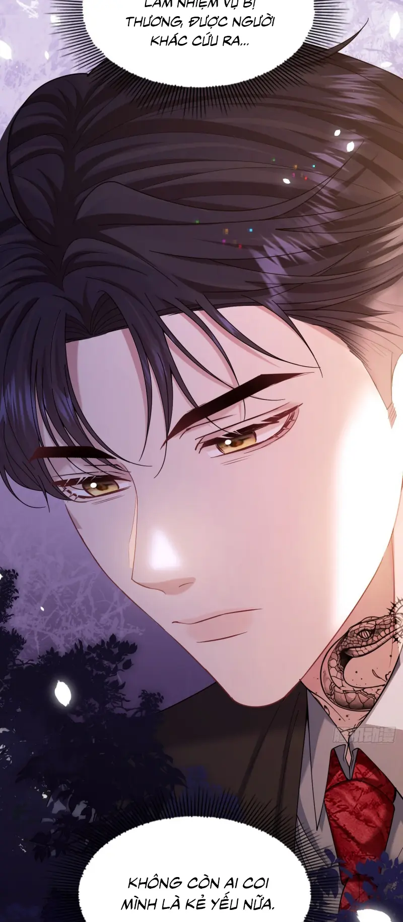 TÔI CỐ Ý GIẢ VỜ Chapter 17 - Trang 19