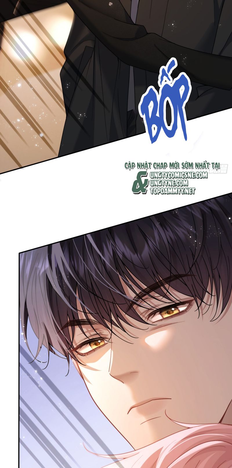 TÔI CỐ Ý GIẢ VỜ Chapter 2 - Trang 29