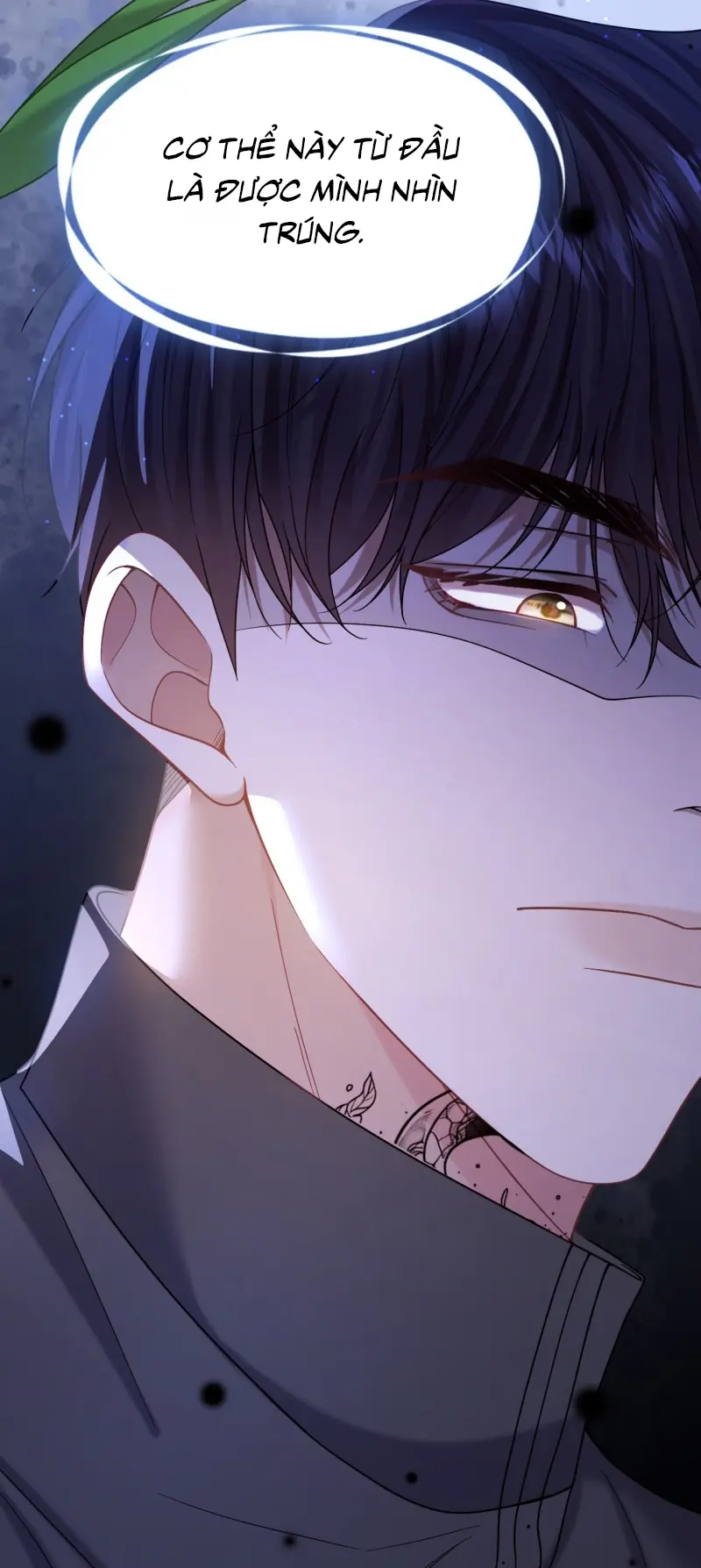 TÔI CỐ Ý GIẢ VỜ Chapter 20 - Trang 12