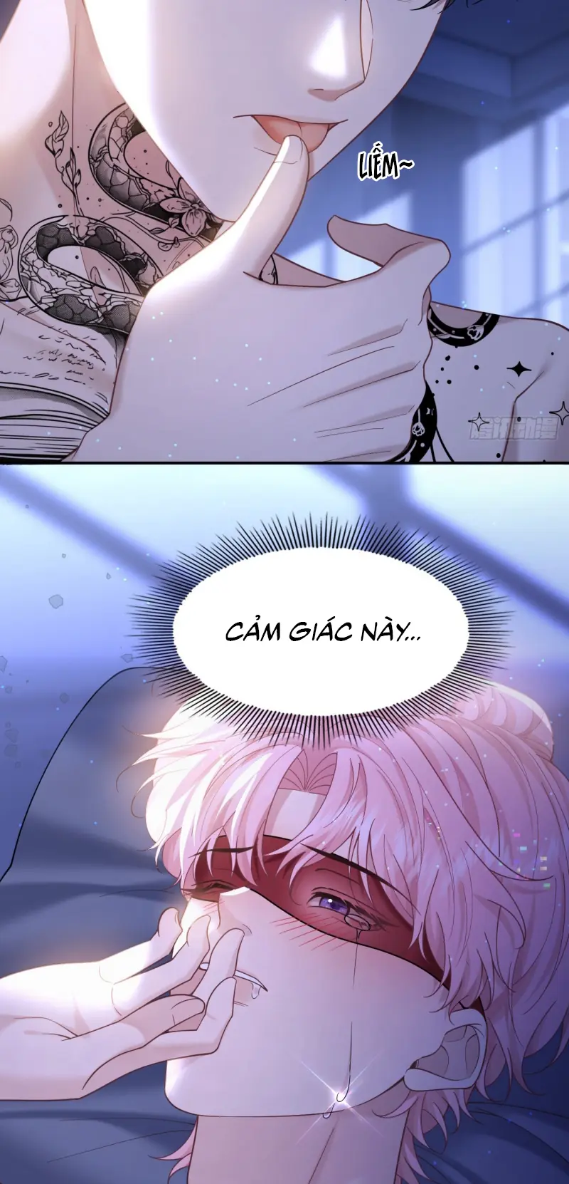 TÔI CỐ Ý GIẢ VỜ Chapter 20 - Trang 29