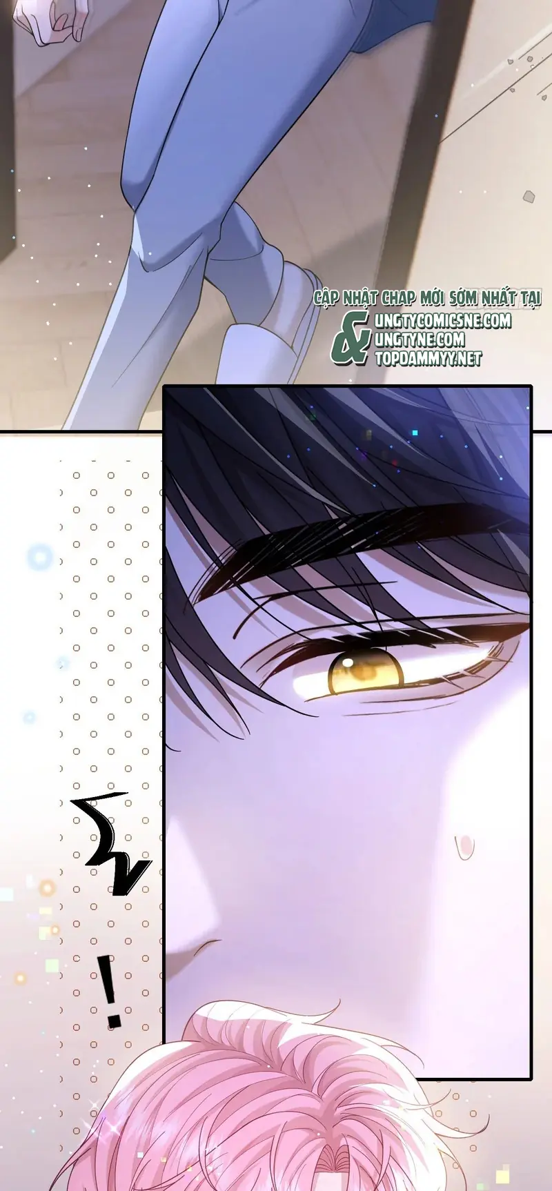 TÔI CỐ Ý GIẢ VỜ Chapter 23 - Trang 8