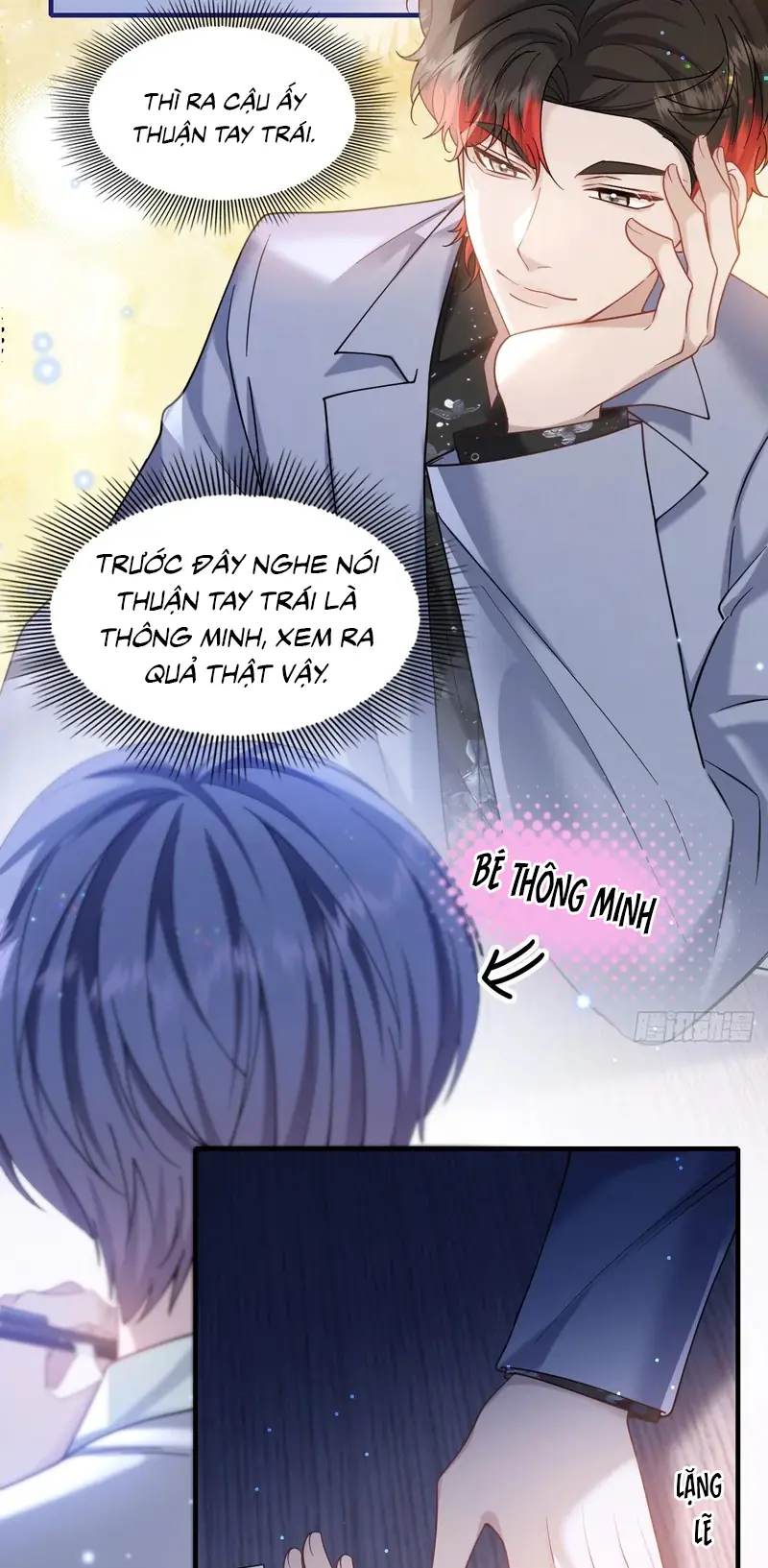 TÔI CỐ Ý GIẢ VỜ Chapter 24 - Trang 25