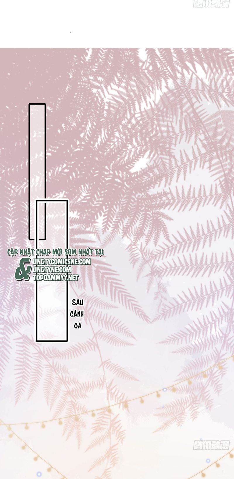 TÔI CỐ Ý GIẢ VỜ Chapter 29 - Trang 4