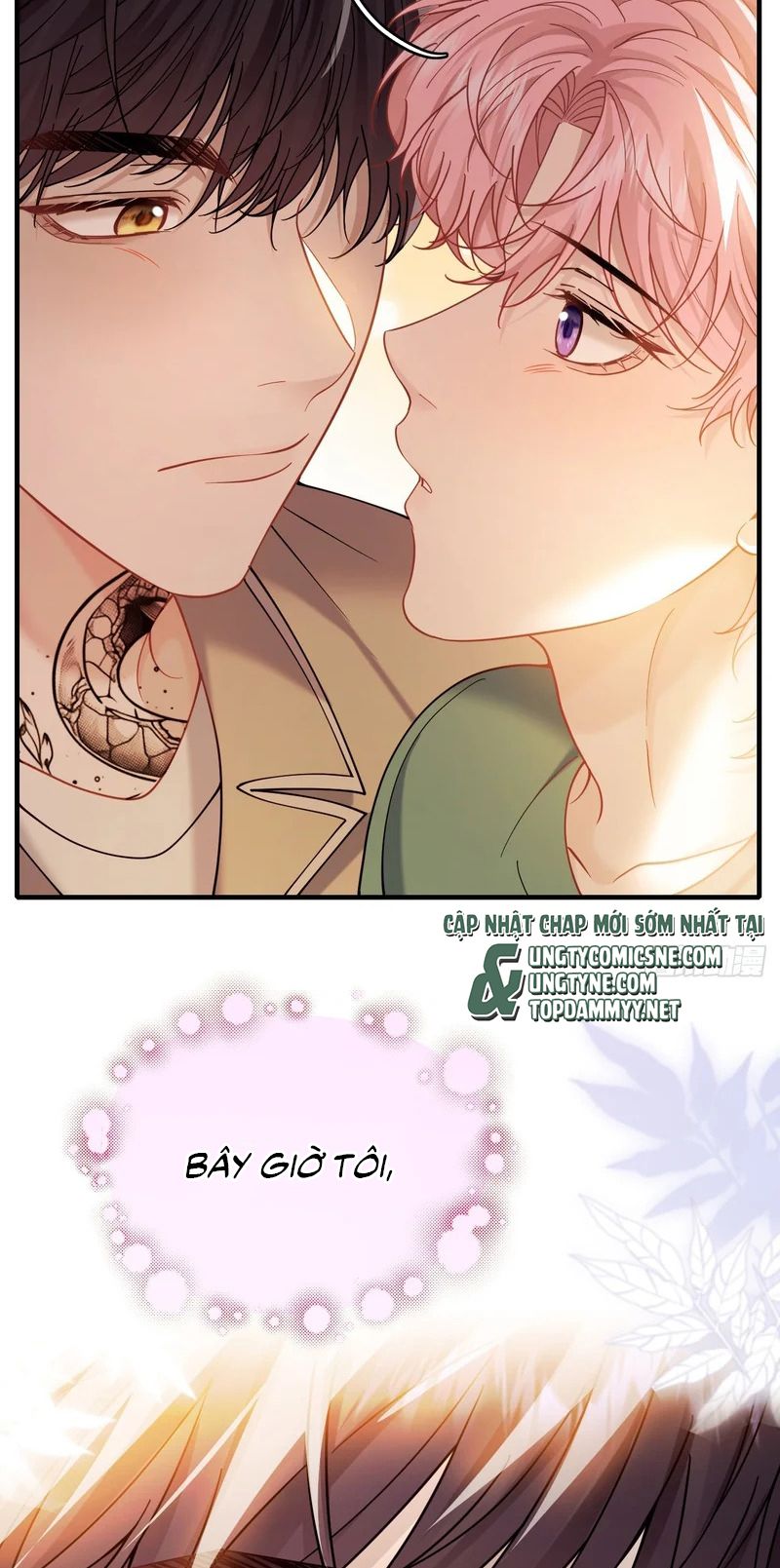 TÔI CỐ Ý GIẢ VỜ Chapter 32 - Trang 31