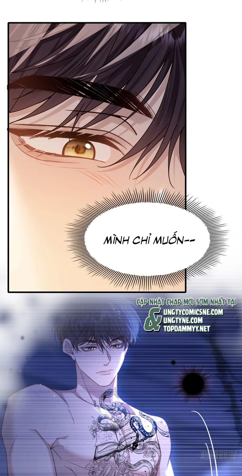 TÔI CỐ Ý GIẢ VỜ Chapter 32 - Trang 39