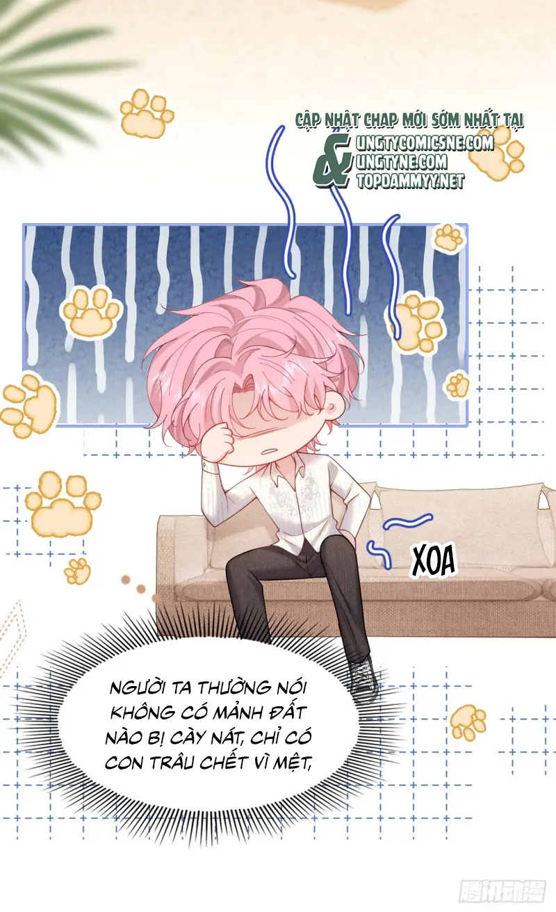 TÔI CỐ Ý GIẢ VỜ Chapter 7 - Trang 40