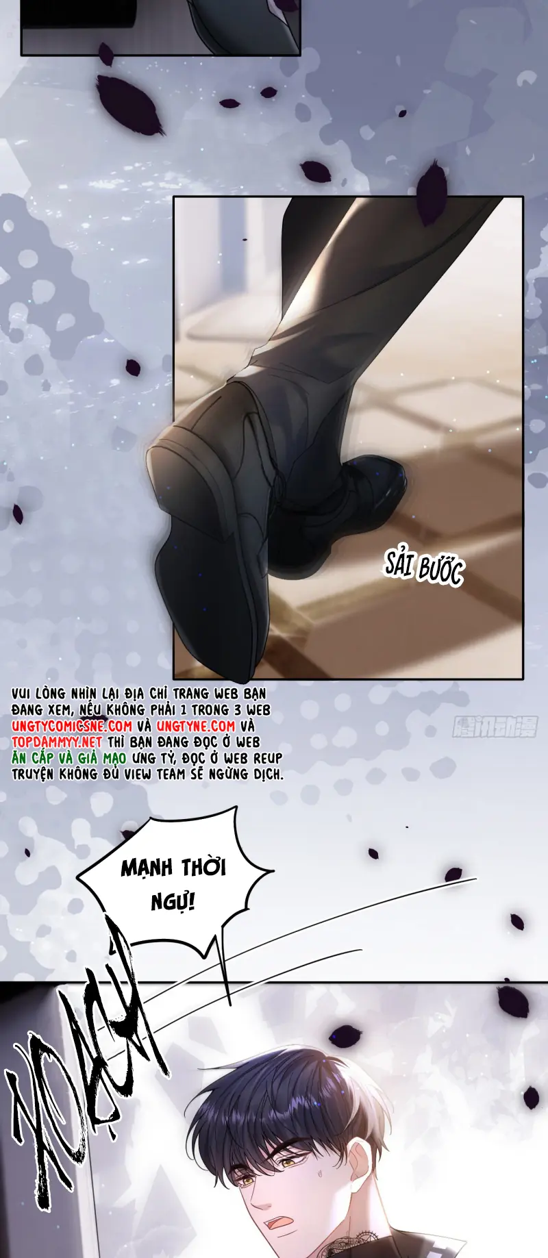 TÔI CỐ Ý GIẢ VỜ Chapter 8 - Trang 5